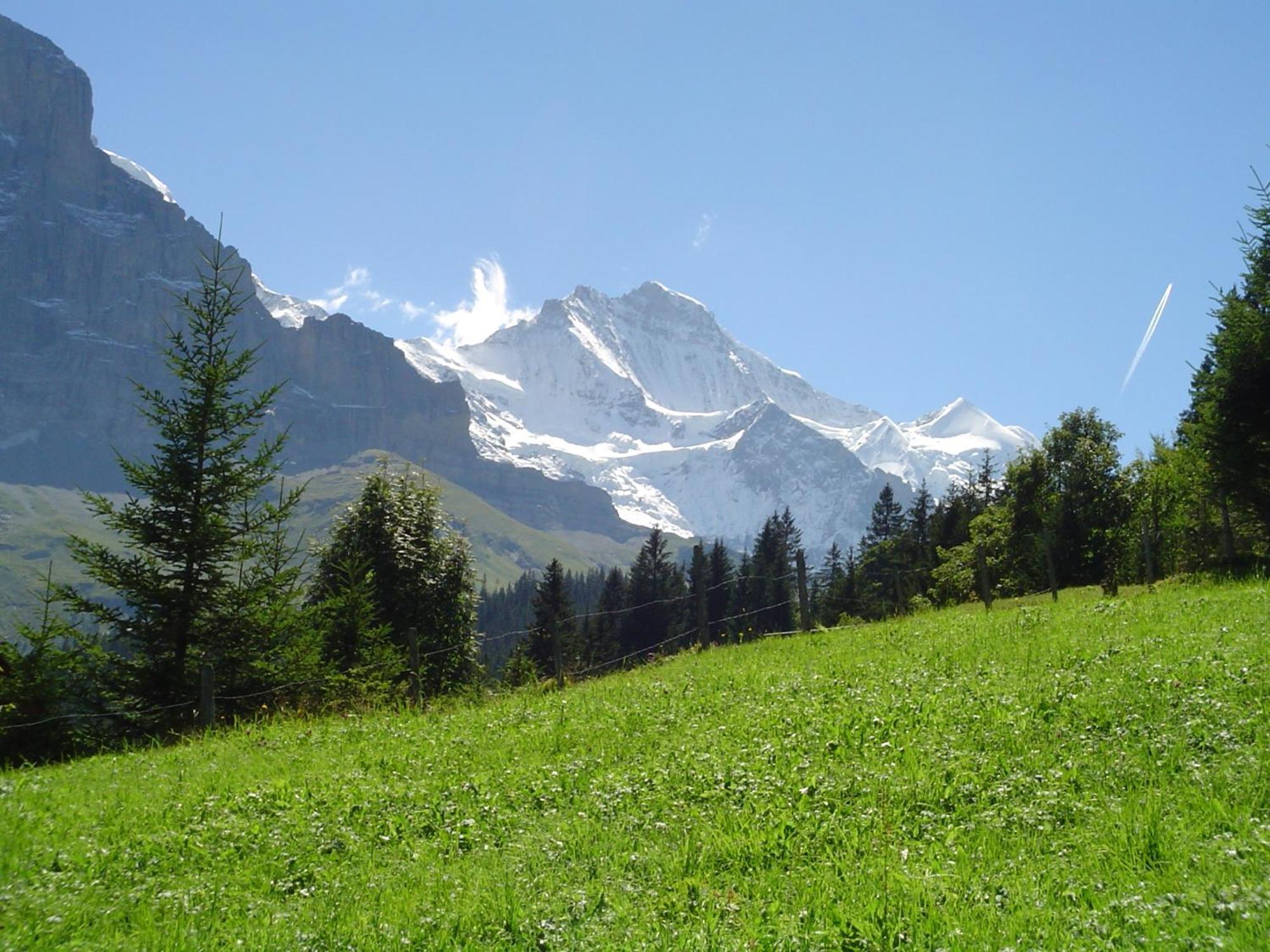 Hotel Tschuggen Grindelwald Luaran gambar