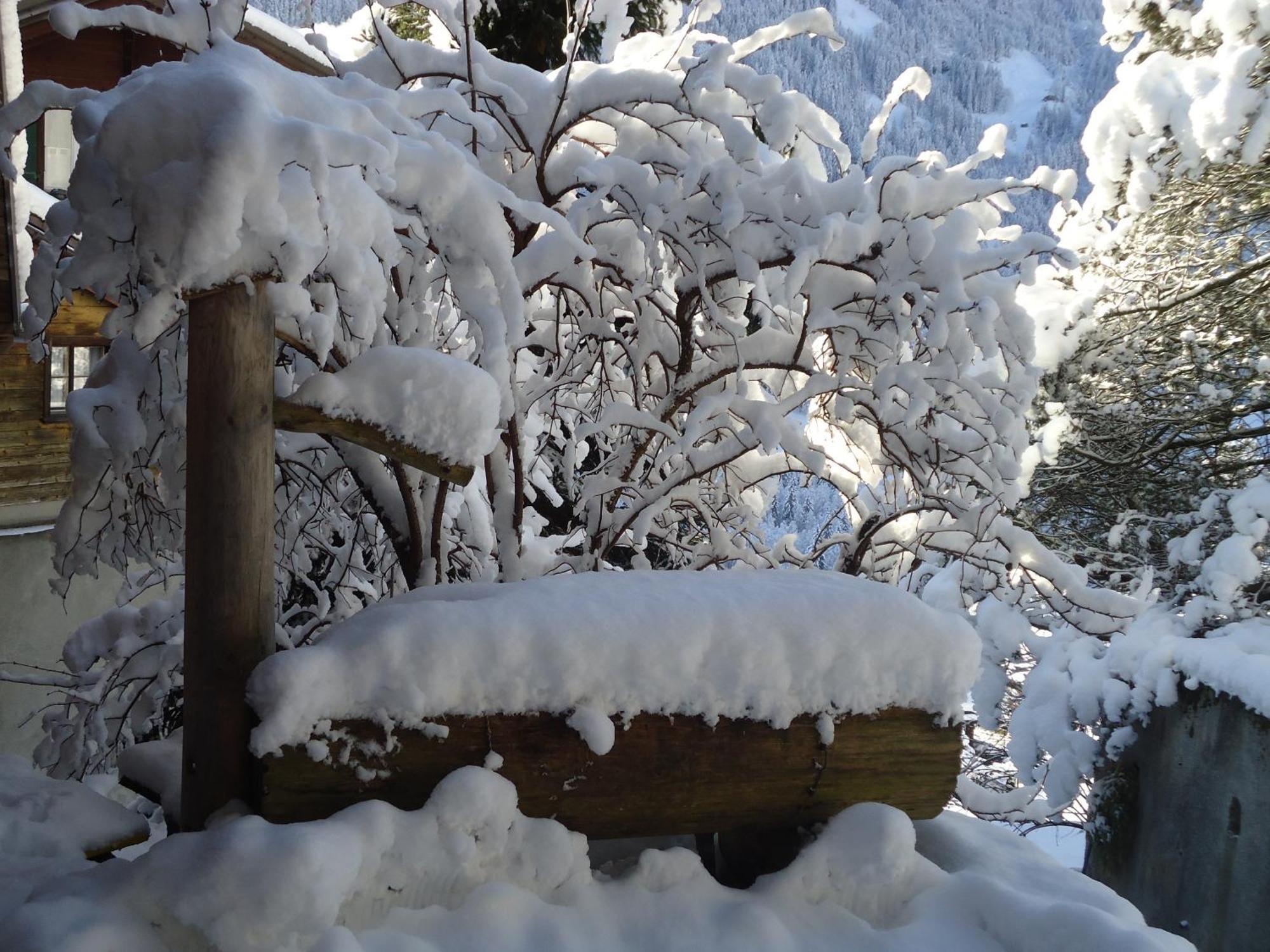 Hotel Tschuggen Grindelwald Luaran gambar