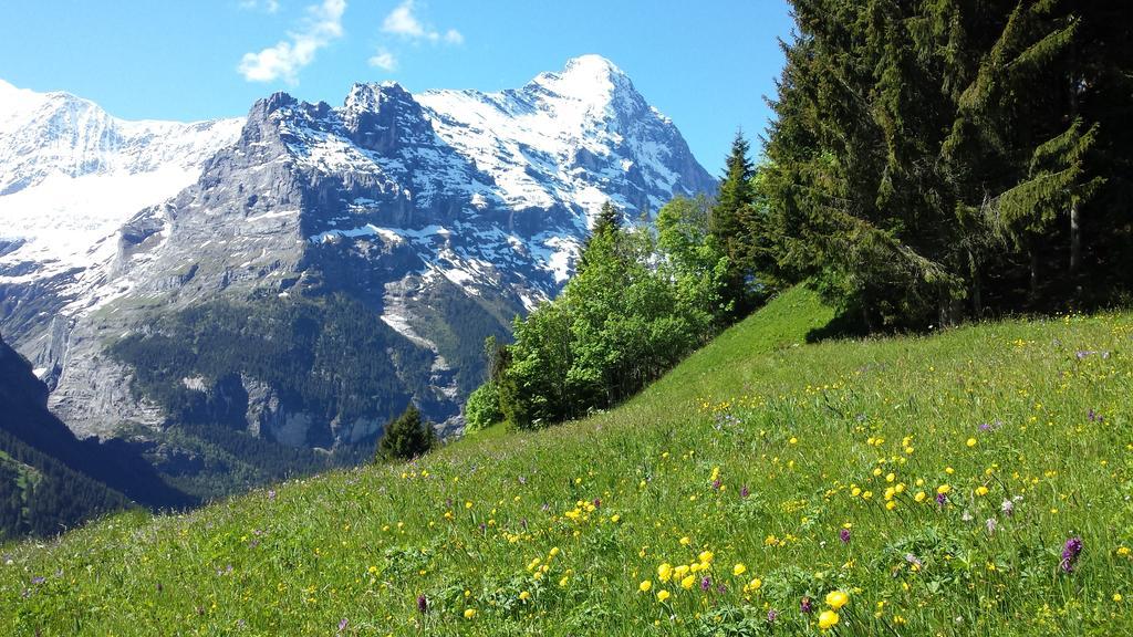 Hotel Tschuggen Grindelwald Luaran gambar